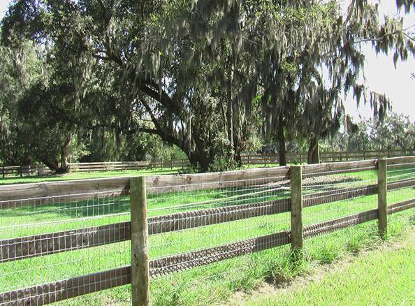 WelBreds Show Barn adjacent paddock