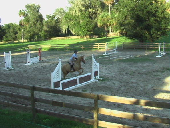 WelBreds Show Barn Hunter Jumper Ring